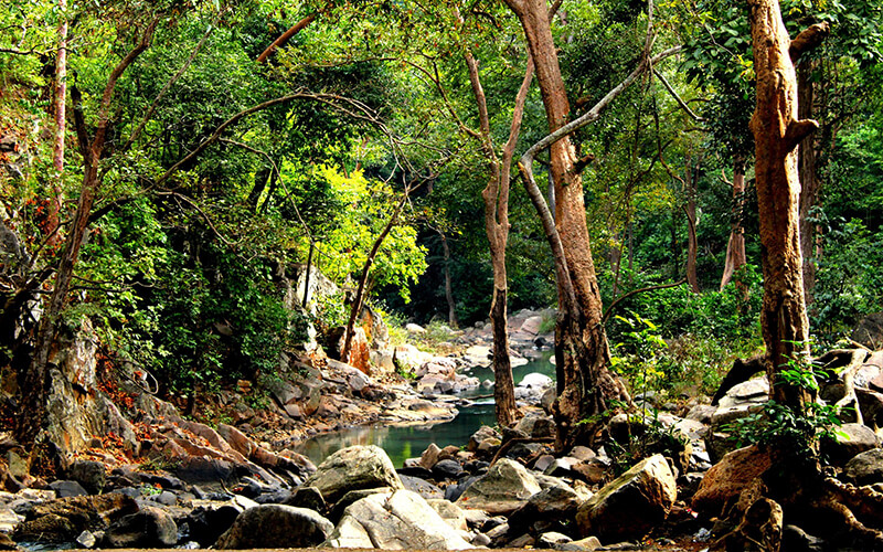 chinnar-wildlife-sanctuary
