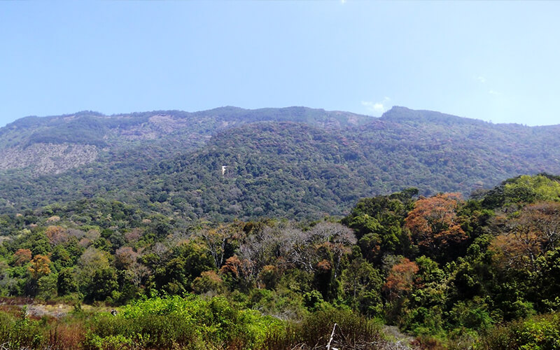 pambadum-shola