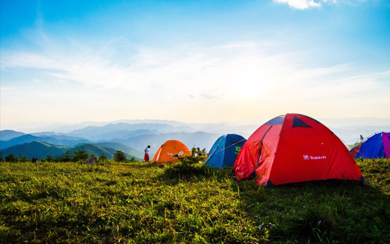 thekkady-camping